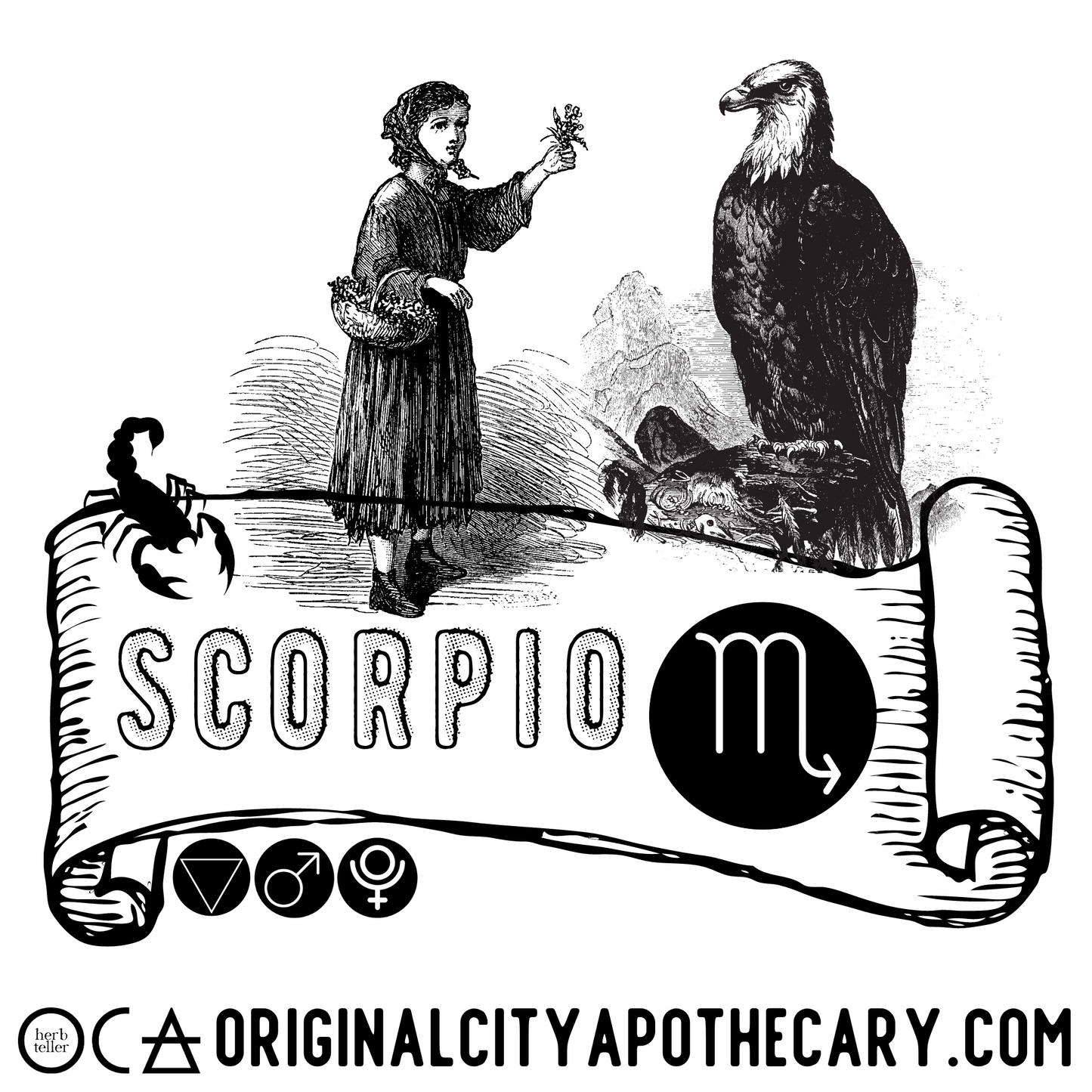 Scorpio Herbal Tea (Herbtention)