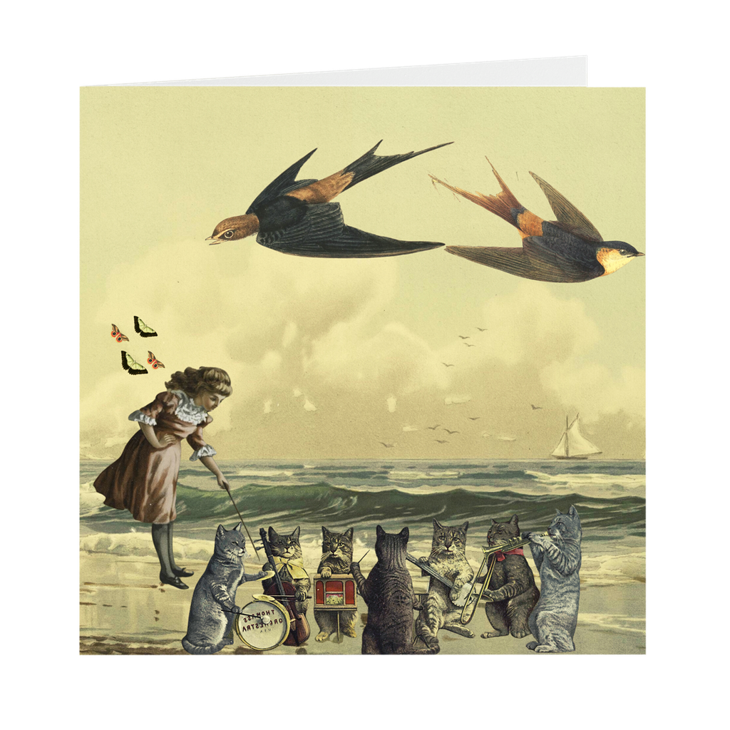 Birdbeach Greetings | by Stitchteller