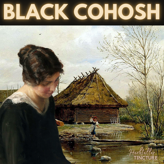 Black Cohosh Herbal Tincture