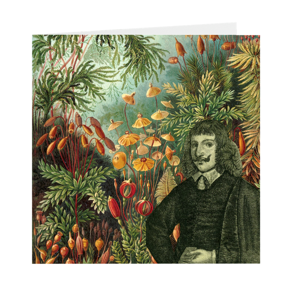 Culpeper's Garden Cards | by Stitchteller