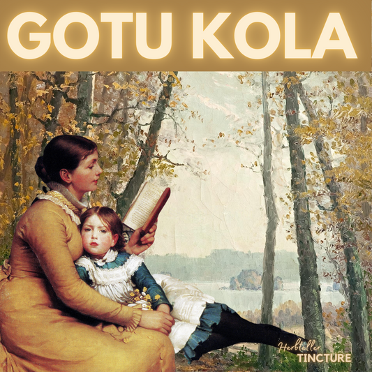 Gotu Kola (Elixir of Life) Herbal Tincture