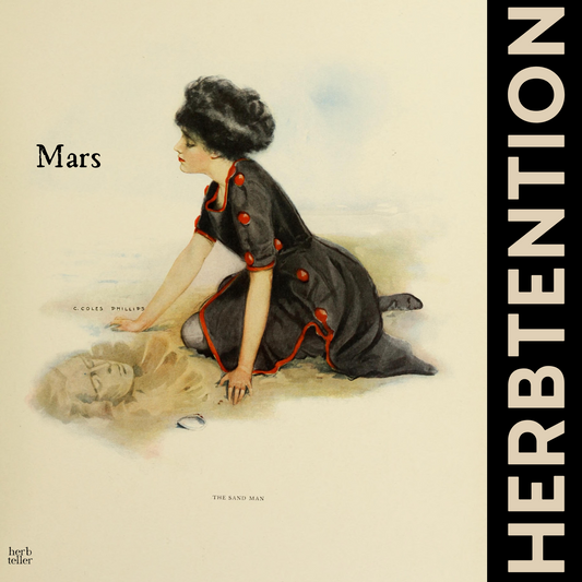 Oh My Mars Herbal Tea - Original City Apothecary