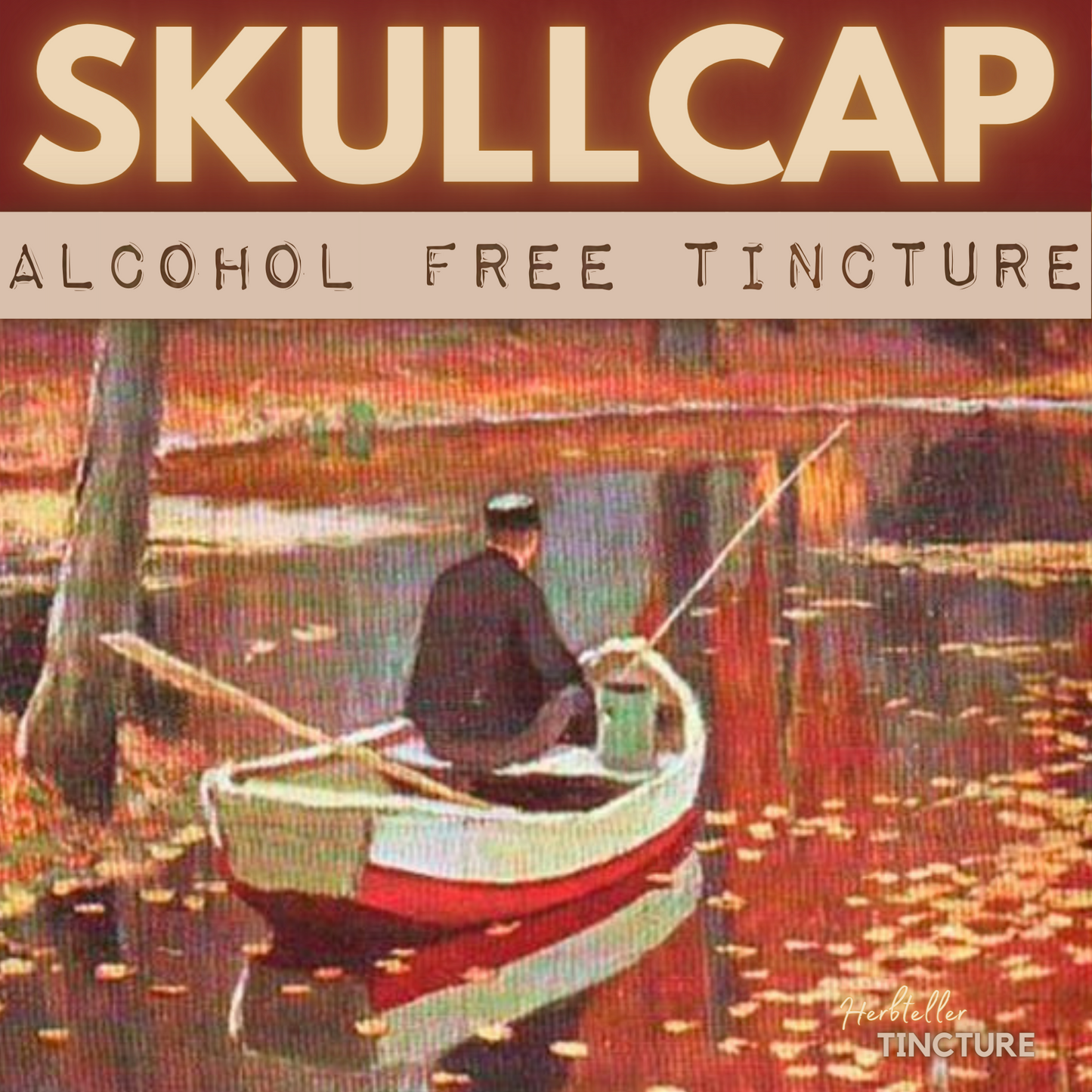 Skullcap (Quaker's Hat) Herbal Tincture (alcohol free)