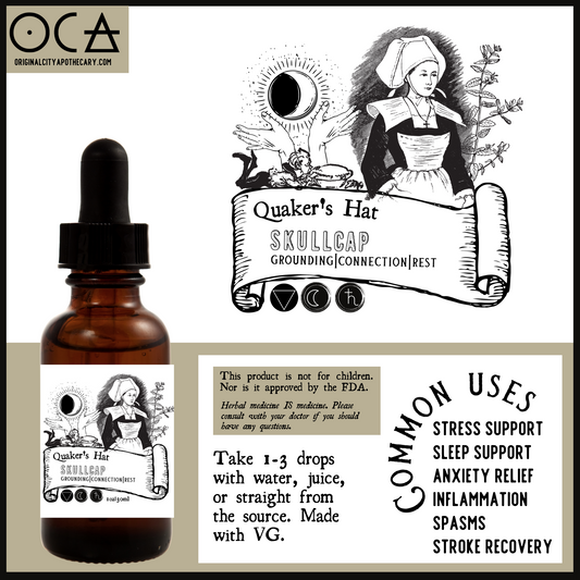 Skullcap (Quaker's Hat) Herbal Tincture (alcohol free)