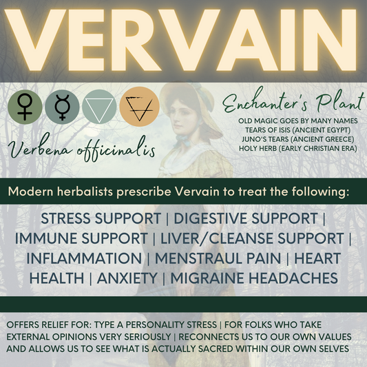 Vervain (Enchanter's Plant) Herbal Tincture - Original City Apothecary