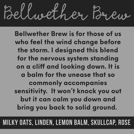Bellwether Brew Herbal Tea | Sensitive Wellness Blend | Linden, Lemon Balm & Rosehip Tea | Caffeine Free