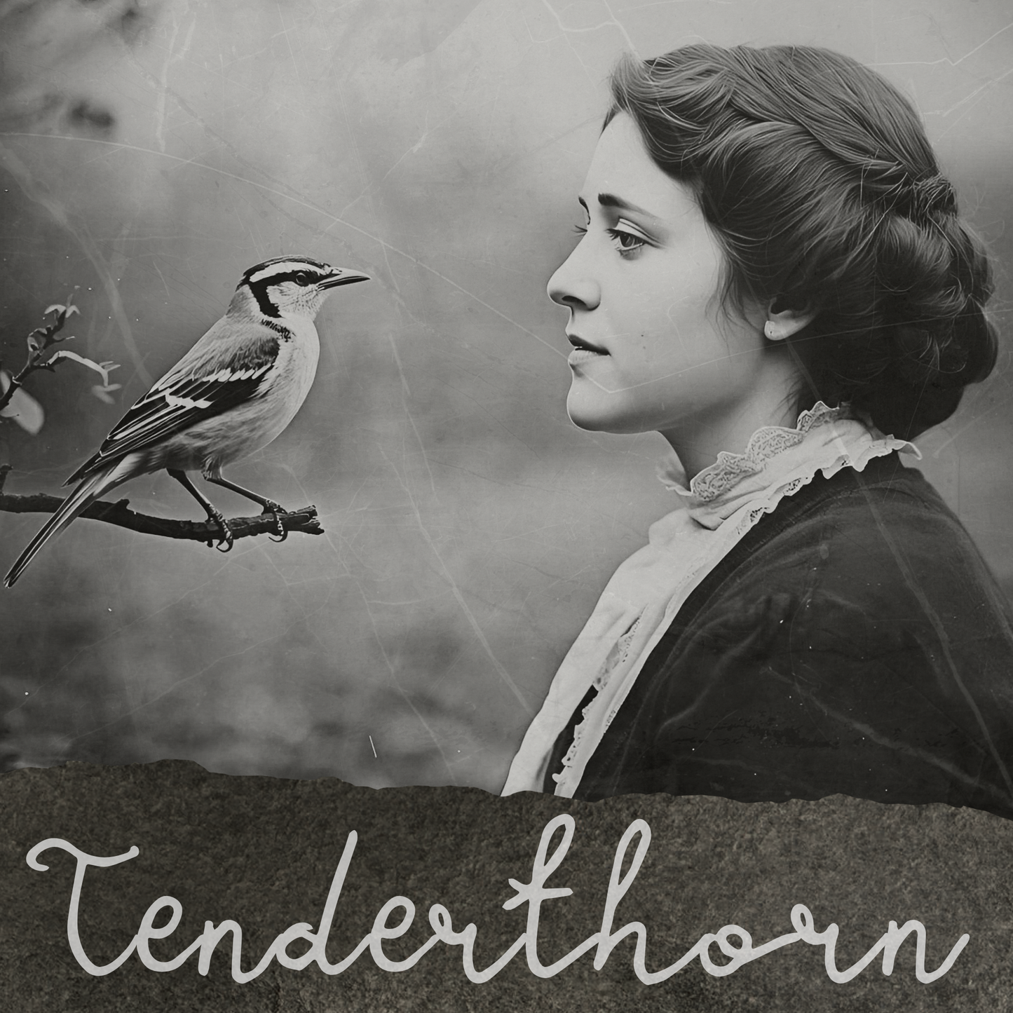 Tenderthorn Tea | Herbal Tea for Tender Hearts & Frazzled Nerves | Caffeine Free Loose Leaf Blend