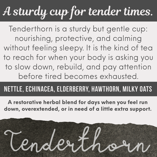 Tenderthorn Tea | Herbal Tea for Tender Hearts & Frazzled Nerves | Caffeine Free Loose Leaf Blend