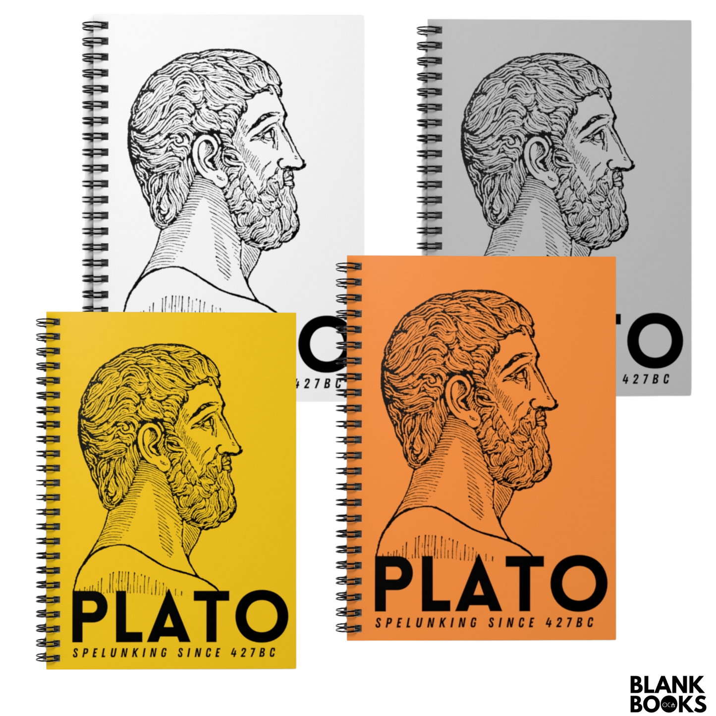 Plato Notebook (Blank Book)