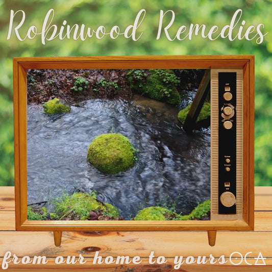 Elements Perfume/Ritual Oil Set