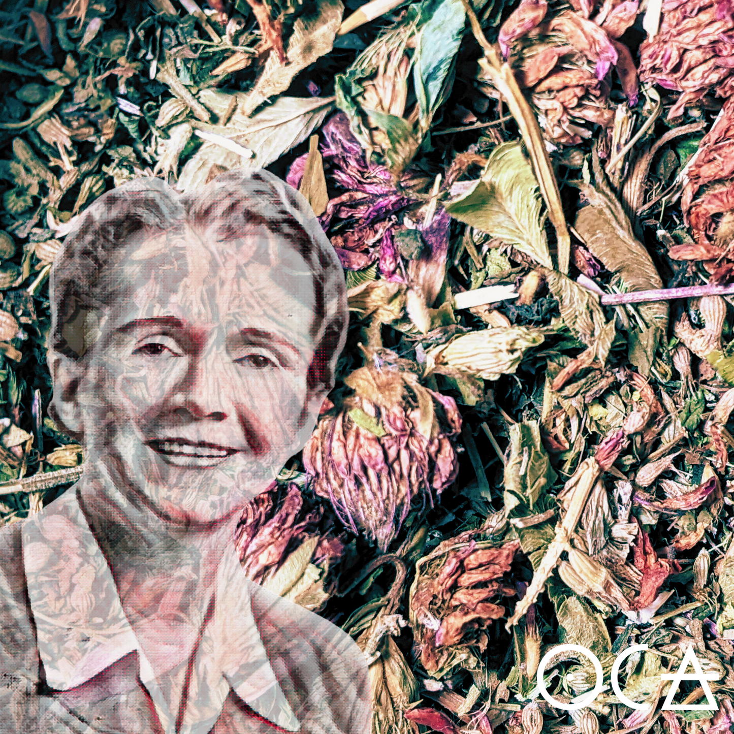 Rachel CarsonTea (An Herbal Ode to the Queen of Spring)