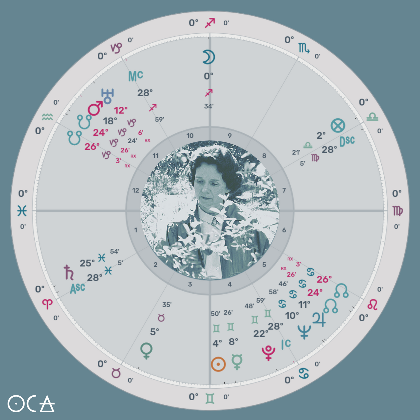 Rachel CarsonTea (An Herbal Ode to the Queen of Spring)