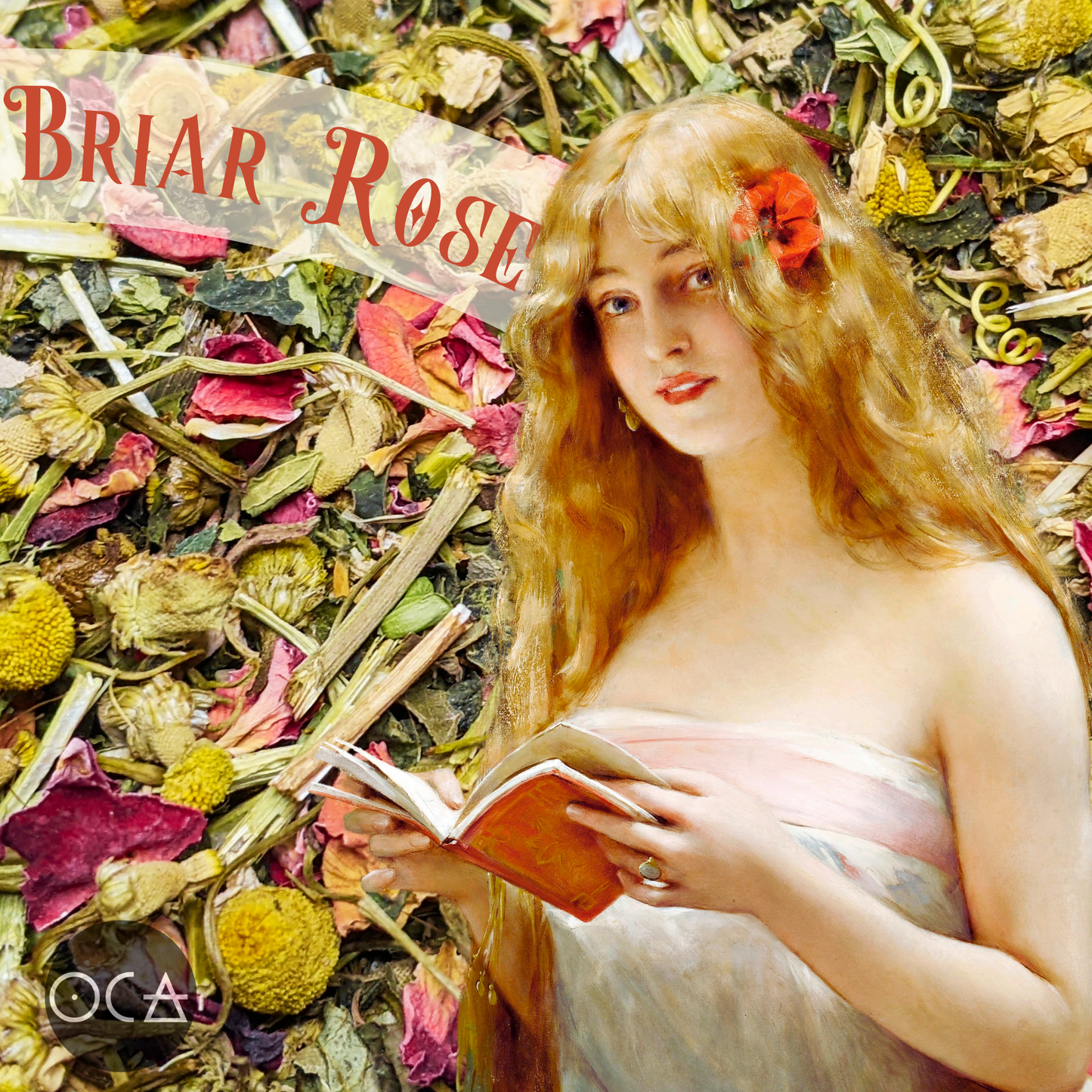 Briar Rose Sleeping Beauty Herbal Tea/Herbteller Fabletea Gift Set