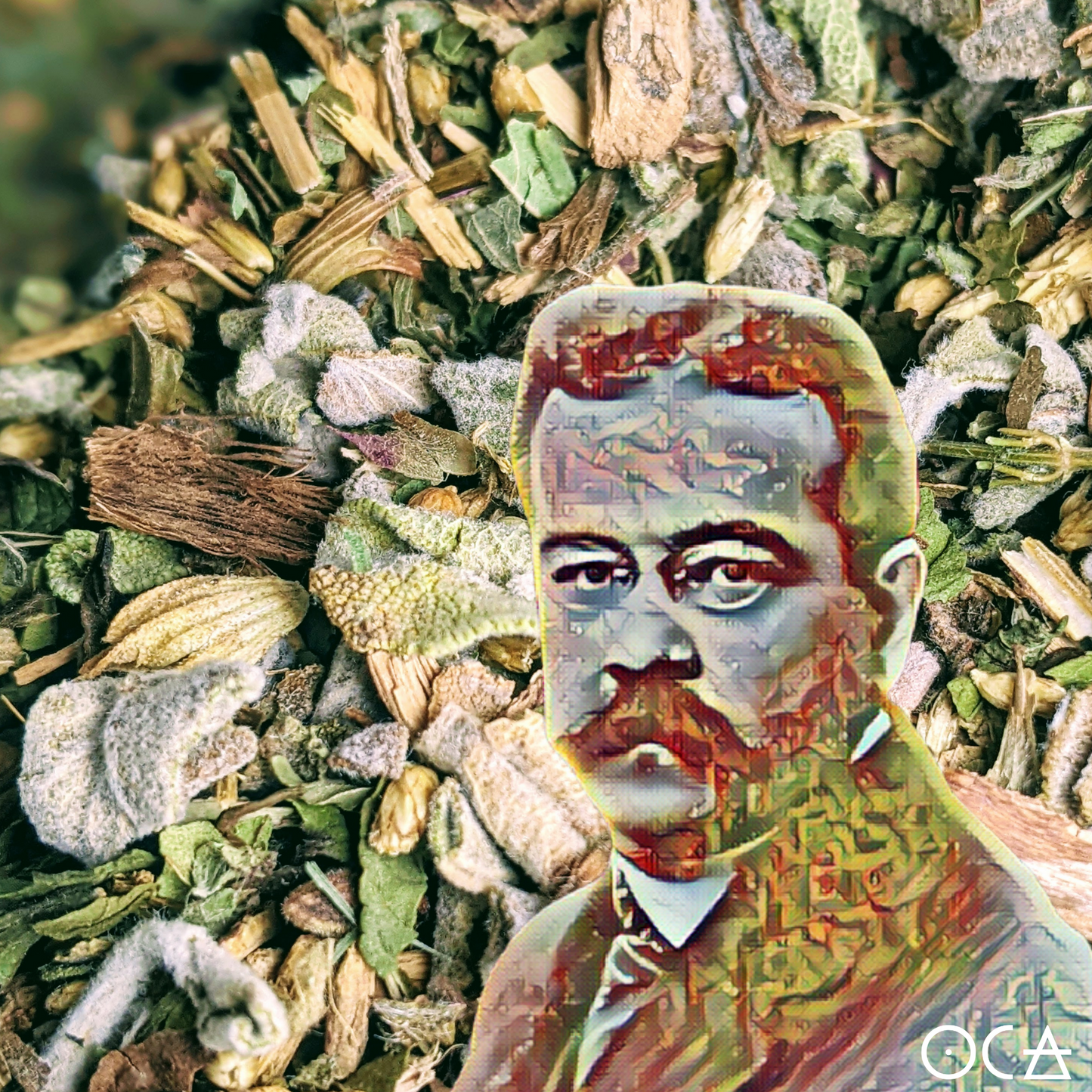 Fortean, the Charles Fortea (Herbtention/Tea Gift)