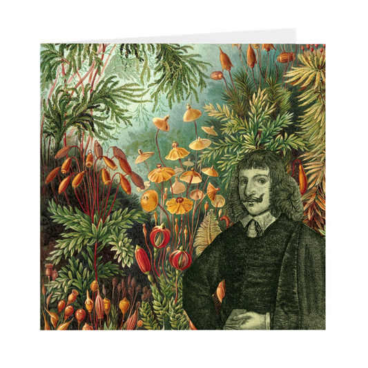 Culpeper's Garden Cards | by Stitchteller