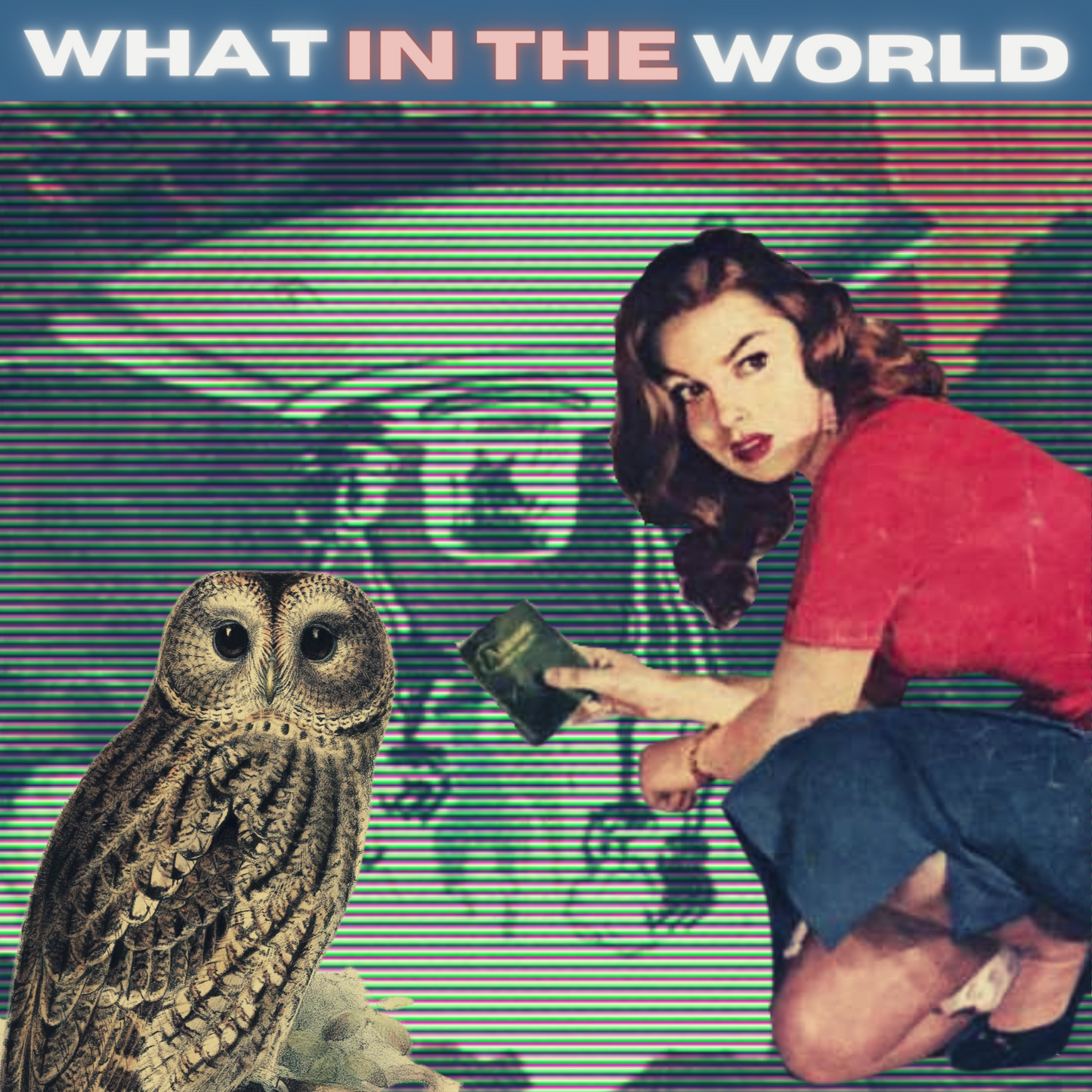 Deep Dive Inspection Hours (Consultation)