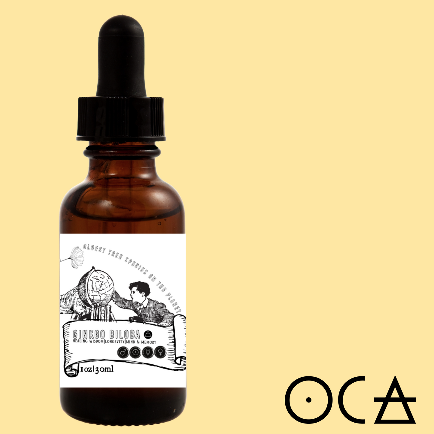 Gingko biloba Herbal Tincture (alcohol free)