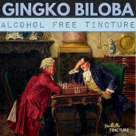 Gingko biloba Herbal Tincture (alcohol free)