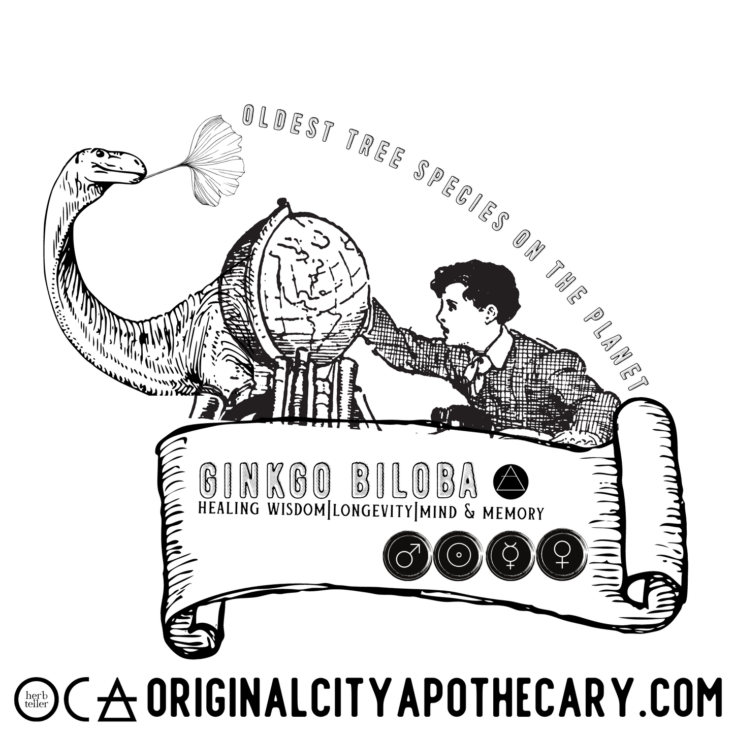 Ginkgo Biloba Organic Herb (Herbtention)