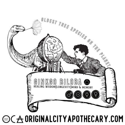 Ginkgo Biloba Organic Herb (Herbtention)