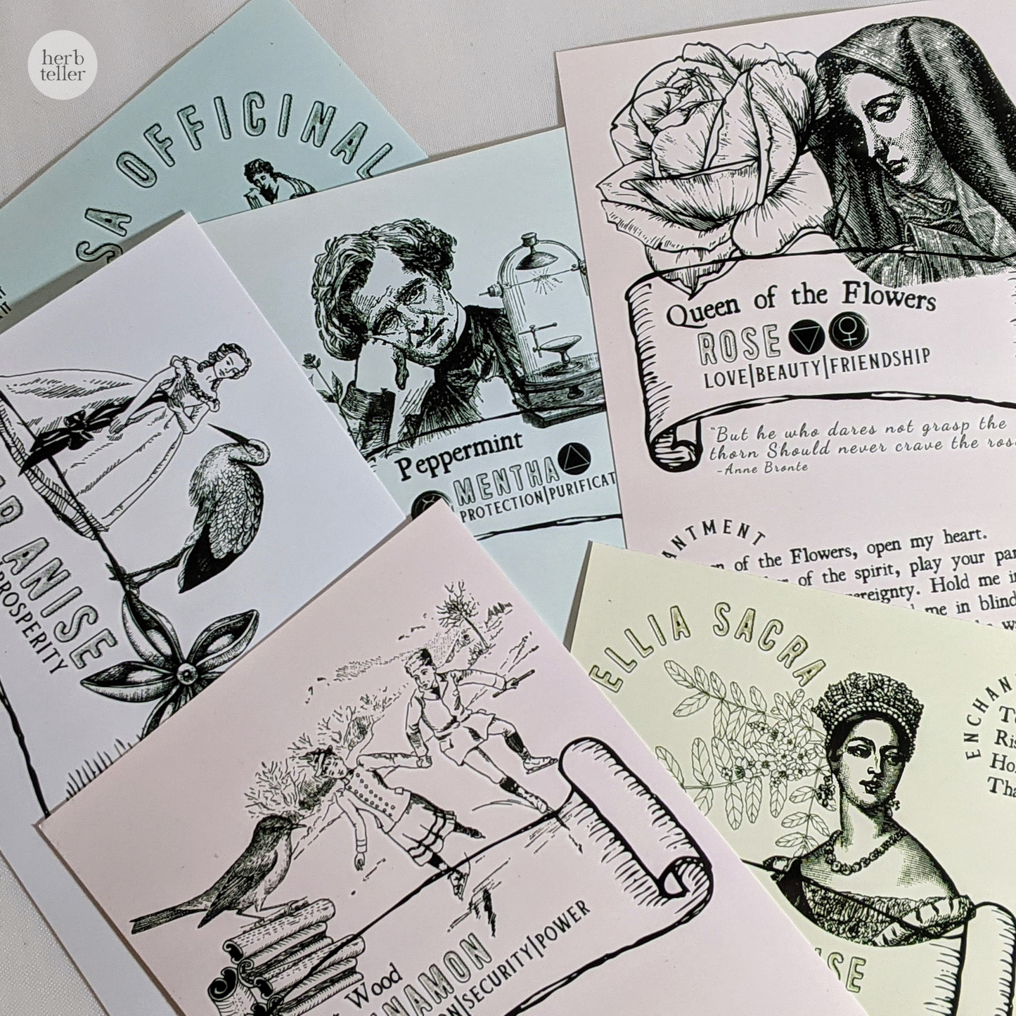 Ginkgo Biloba Organic Herb (Herbtention)