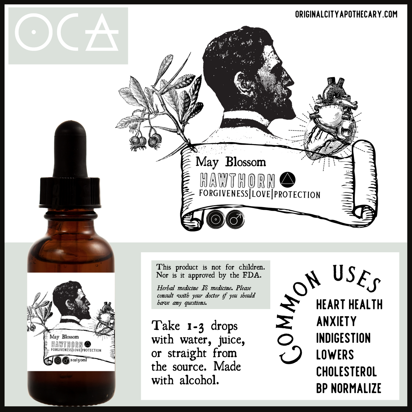 Hawthorn (May Blossom) Herbal Tincture - Original City Apothecary