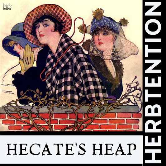 Hecate's Heap Herbal Tea - Original City Apothecary