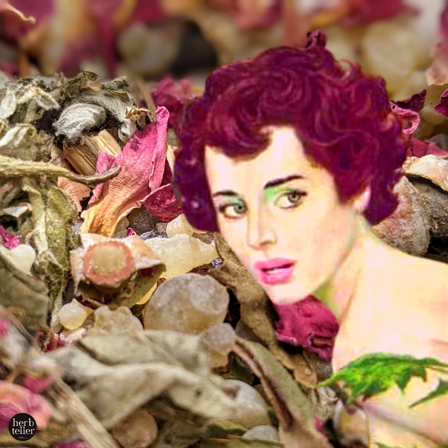 Herbmusement: Oh My Venus Ceremoment DIY (Tea/Incense/Ritual/Oil Set)
