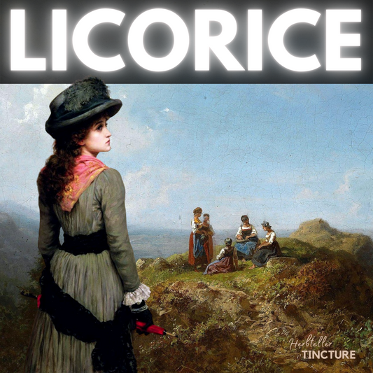 Licorice (Sweet Root) Herbal Tincture
