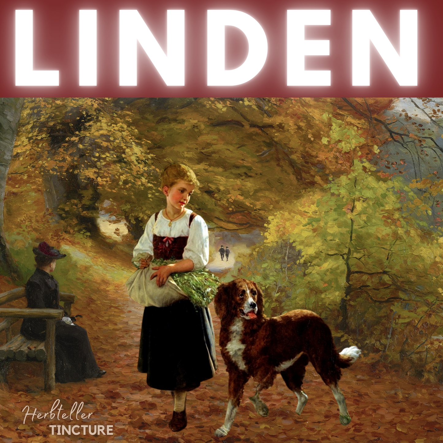 Linden Herbal Tincture