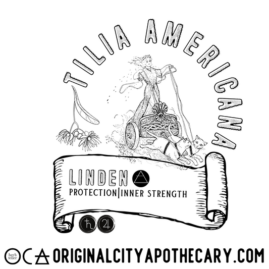 Linden (Organic Herbtention)