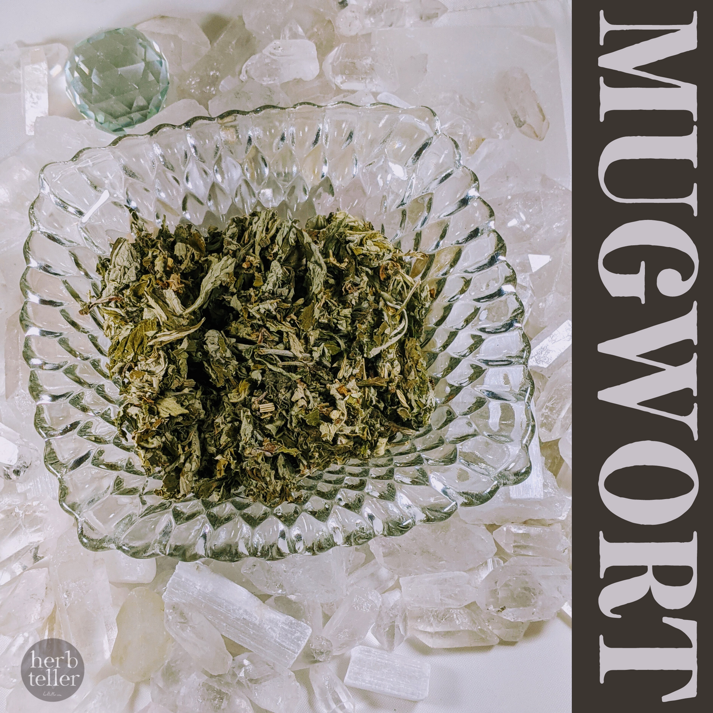 Mugwort Herb (Organic Herbtention)