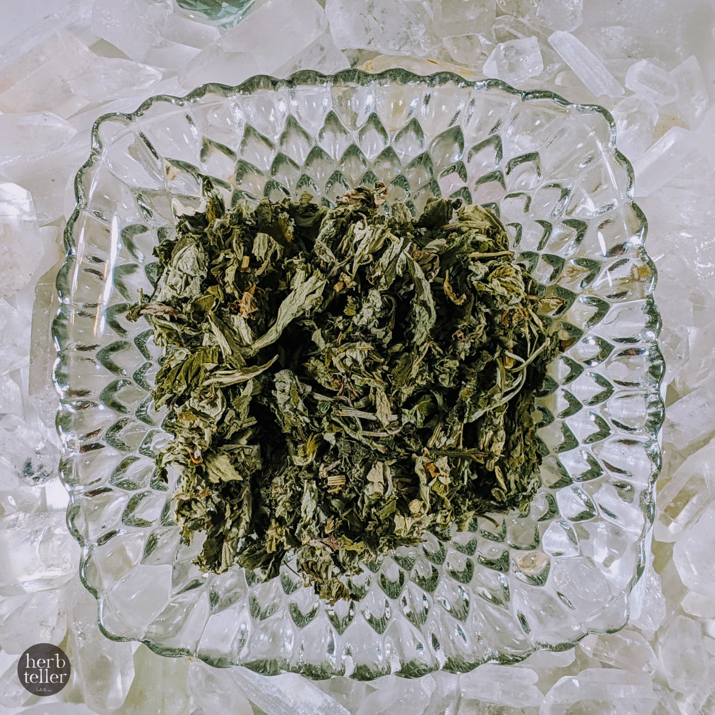 Mugwort Herb (Organic Herbtention)