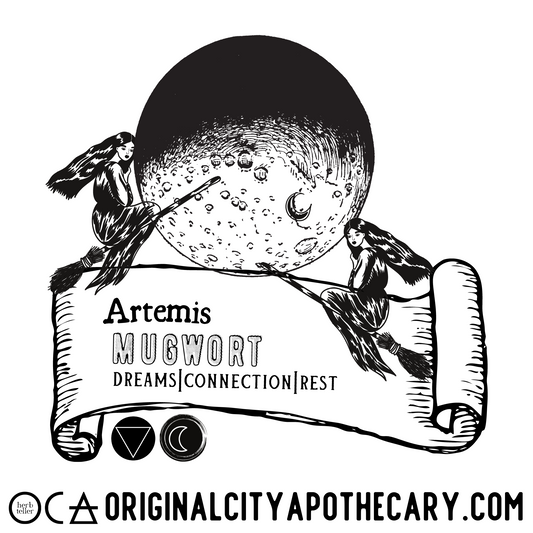 Mugwort Herb (Organic Herbtention)