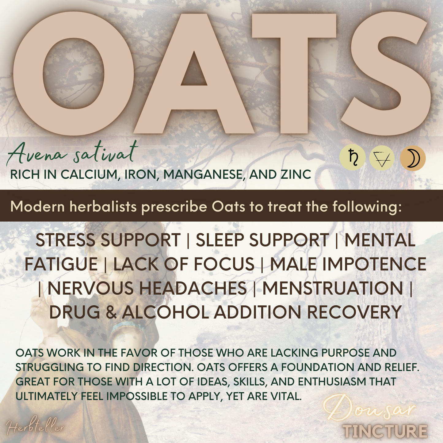 Oats (Dousar) Herbal Tincture - Original City Apothecary