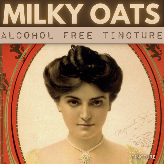 Oats (Dousar) Herbal Tincture (alcohol free)