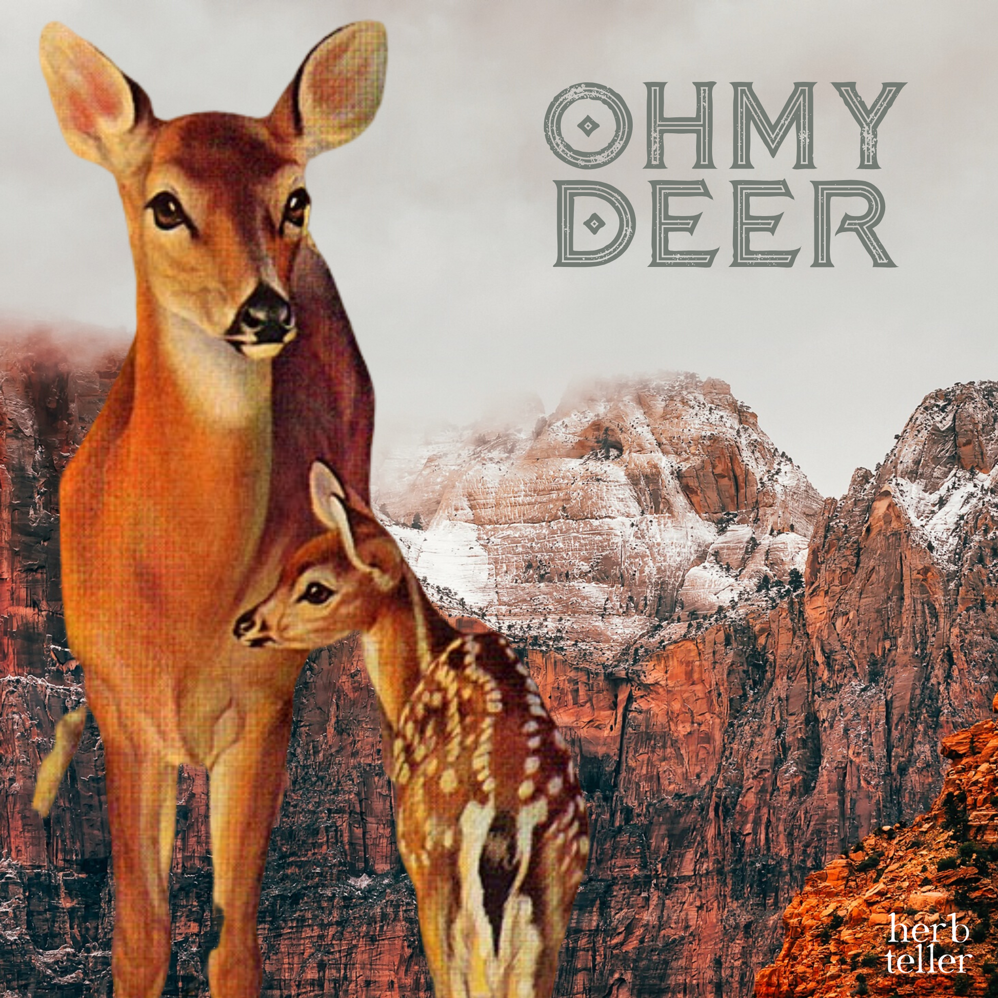Oh My Deer Herbal Tea - Original City Apothecary