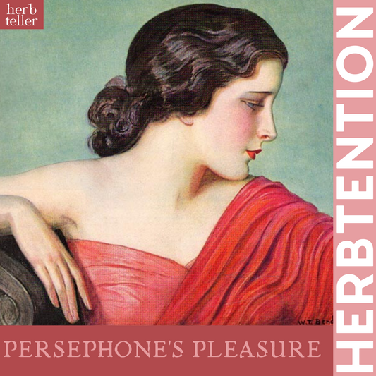Persephone's Pleasure Herbal Tea - Original City Apothecary