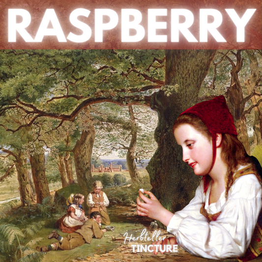 Raspberry Herbal Tincture