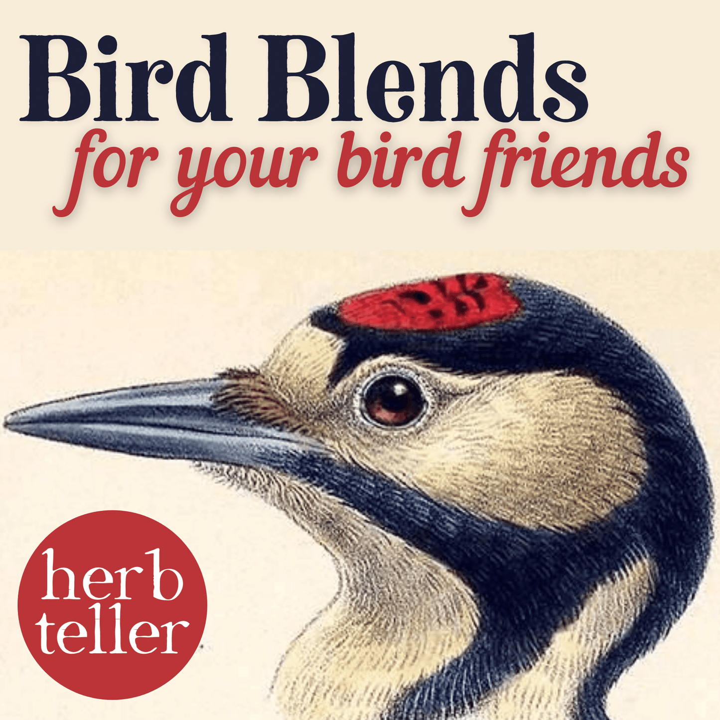 Ruperto's Retreat | Bird Blends for your Bird Friends | Herbal Bird Seed Mix - Original City Apothecary