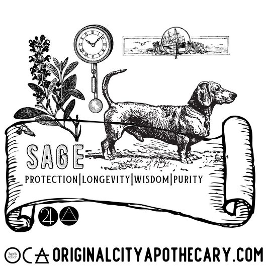 Sage Herb (Organic Herbtention)