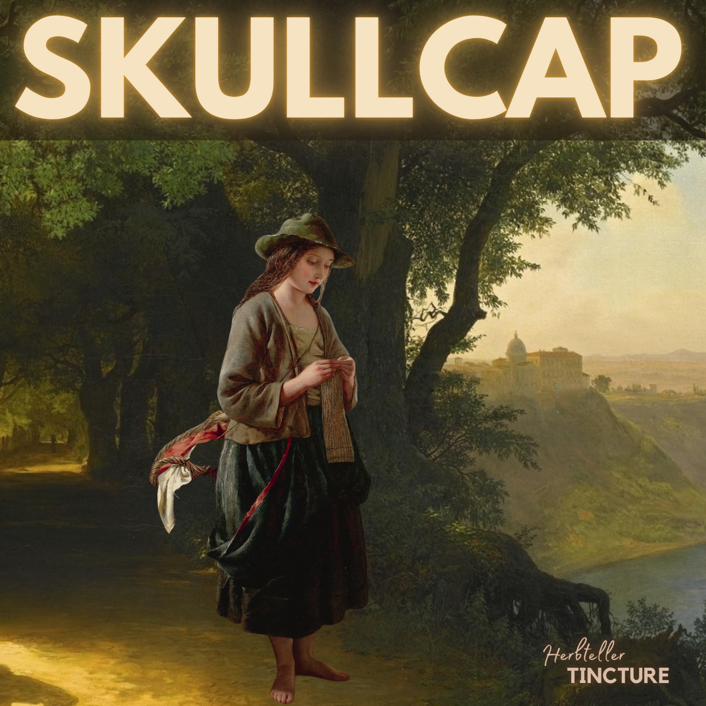 Skullcap (Quaker's Hat) Herbal Tincture - Original City Apothecary