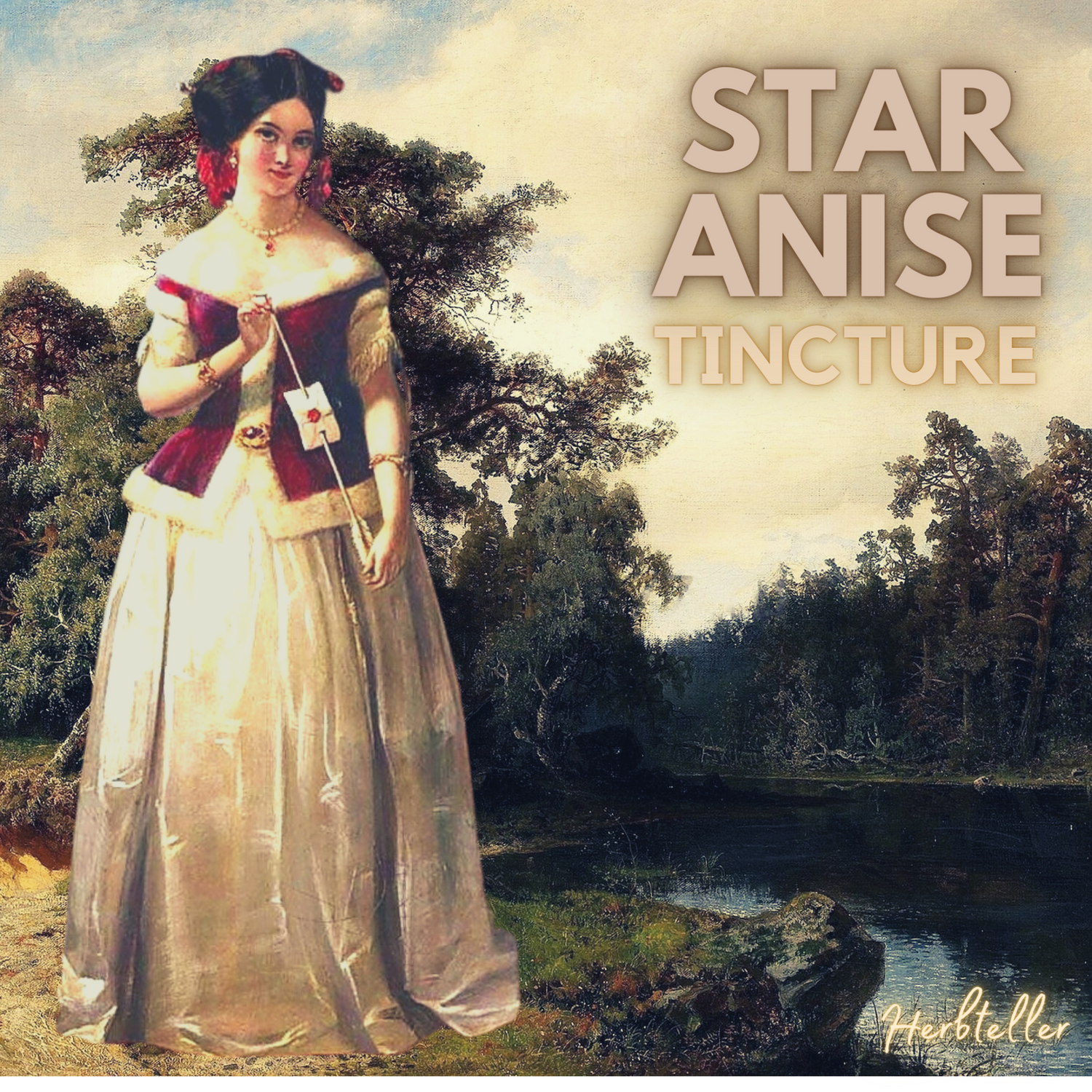 Star Anise (Illicium verum) Herbal Tincture - Original City Apothecary